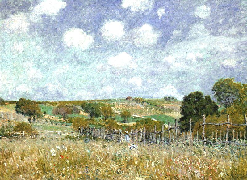 Alfred Sisley Meadow Spain oil painting art